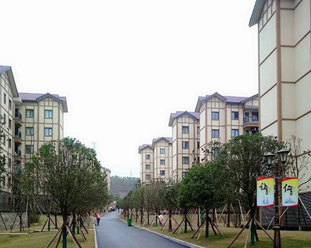 黔西恒大錦繡花都住宅